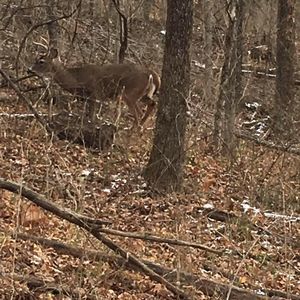 Meet your Posher, Todd